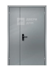 Огнеупорная дверь для торгового центра ДП-304